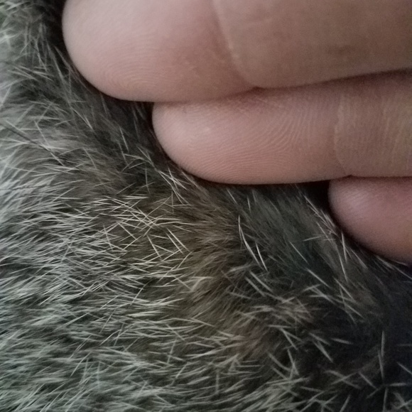 Mens Burberry brit with fur liner - Picture 8 of 8